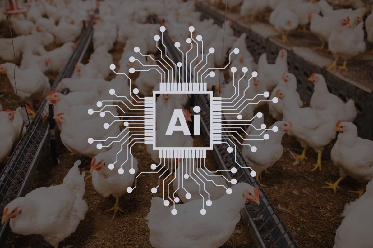 هوش مصنوعی در صنعت طیور